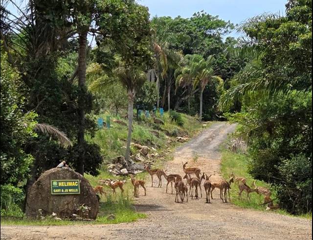 BUSINESS FOR SALE IN LEISURE BAY